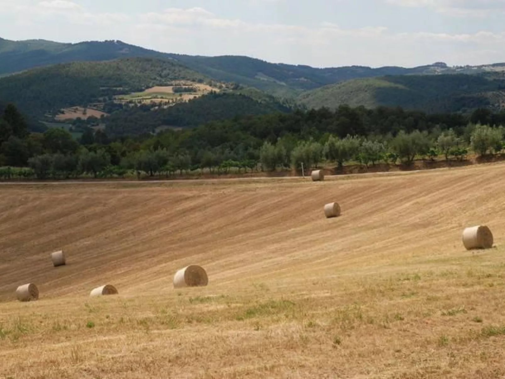 Großes Appartement-Image-tags.info