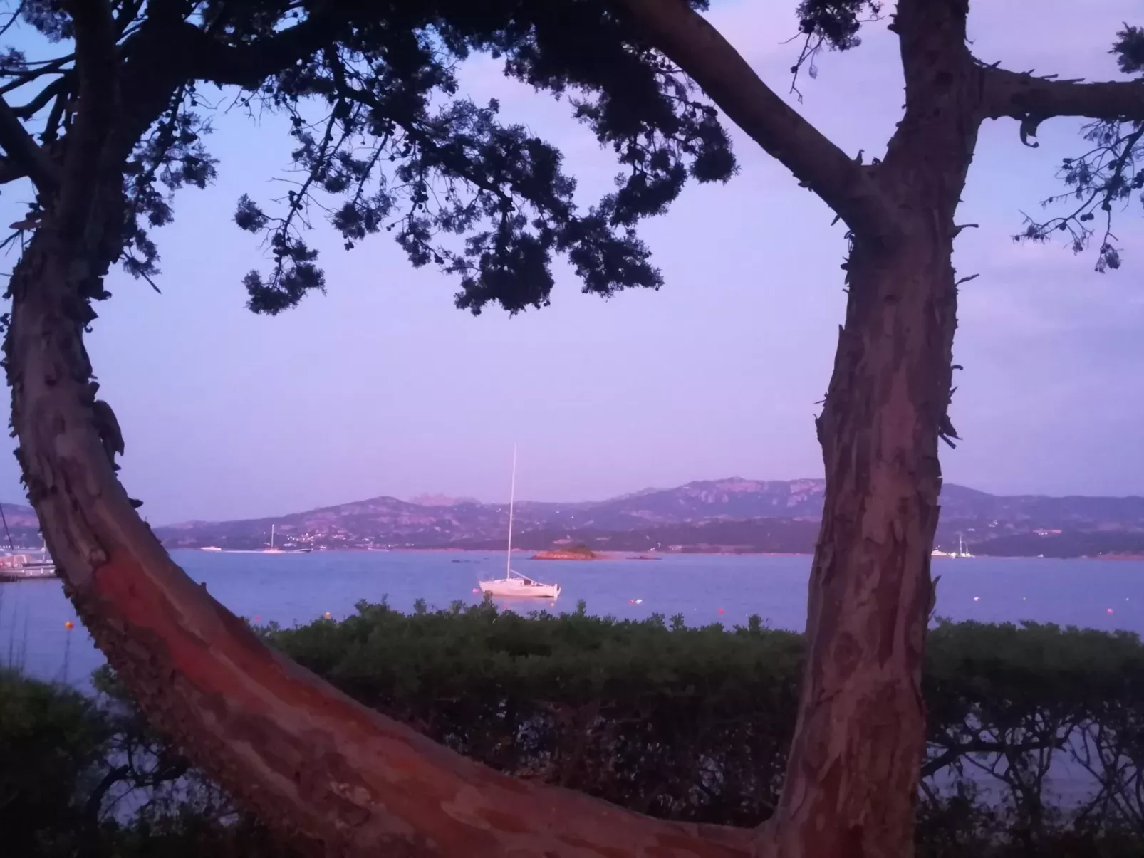 Charmante Wohnung Lungomare Cannigione-Buiten