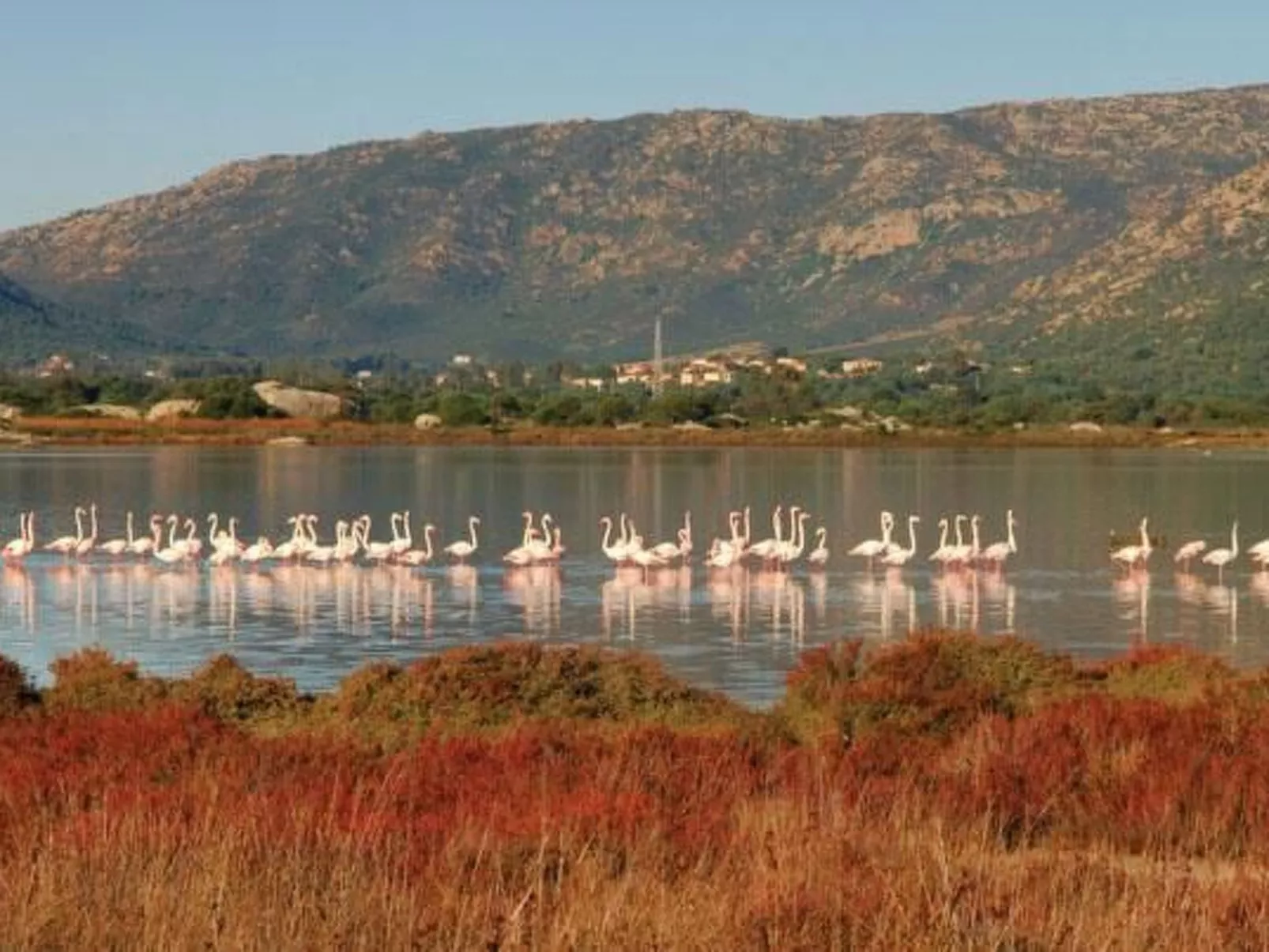 FERIENHAUS SARDINIEN SAN TEODORO-Image-tags.info