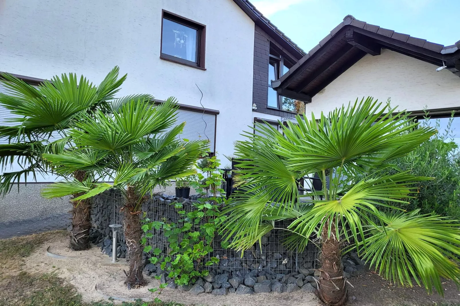 Ferienwohnung Bluzi im Westerwald-Terrasbalkon