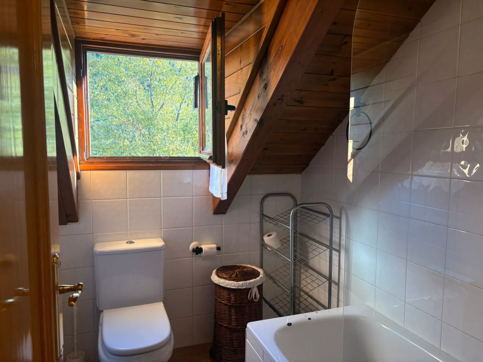 Dachgeschosswohnung mit Velux erta 3 Vall de Boí-Binnen