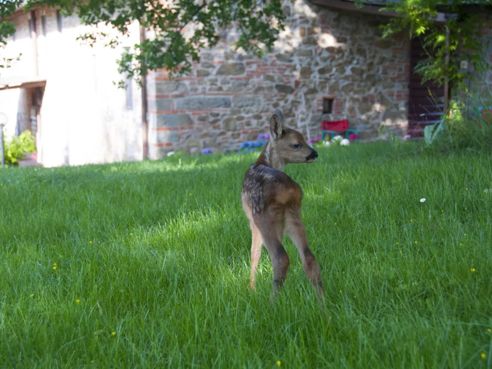 Wohnung in Figline Valdarno mit Gemeinschaftspool-Buiten