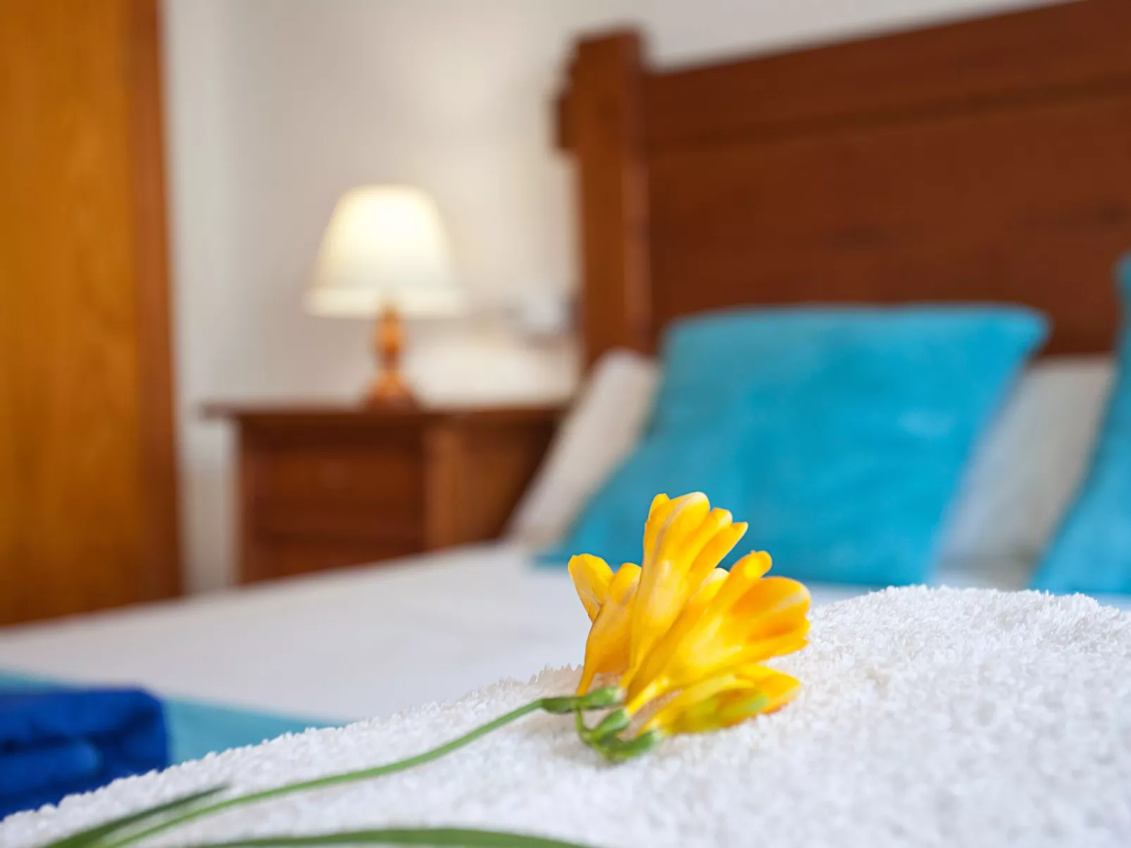 Chalet "Casa Hector" 300m vom Strand und Schwimmbad entfernt-Image-tags.info