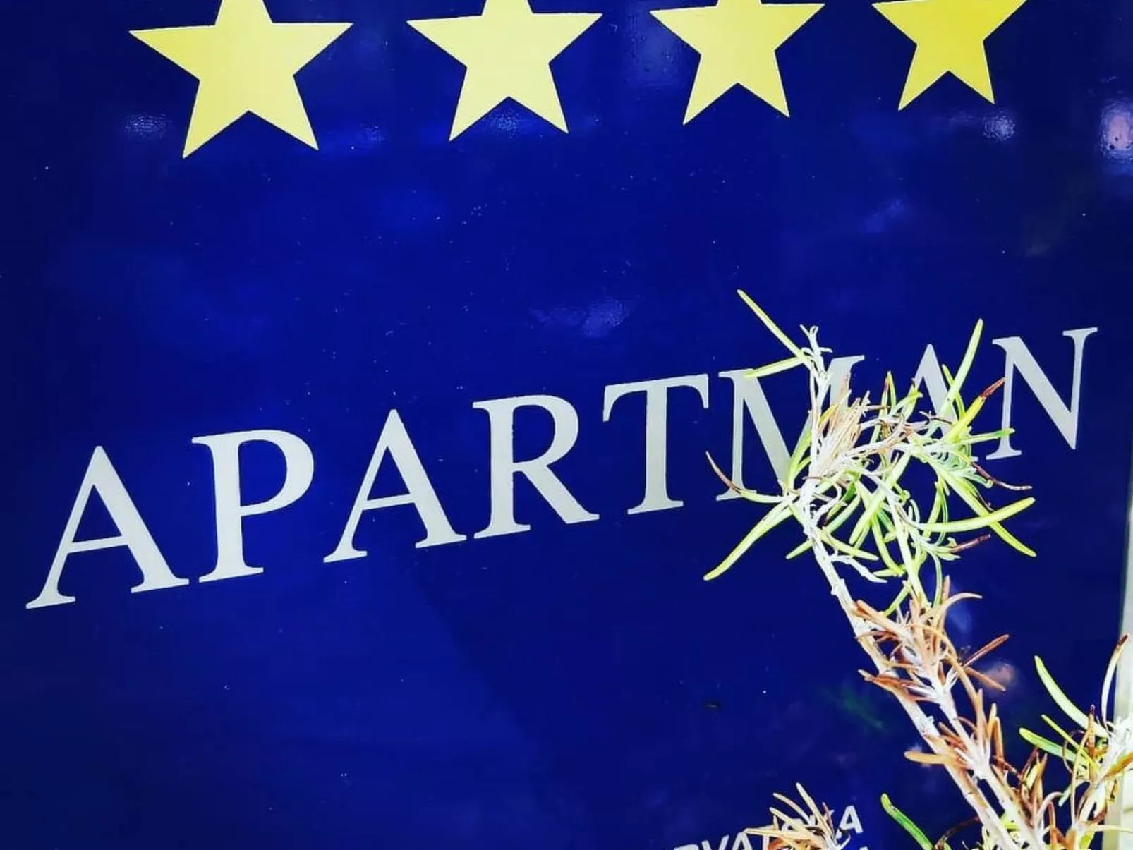 Michele-Grejp-Buiten