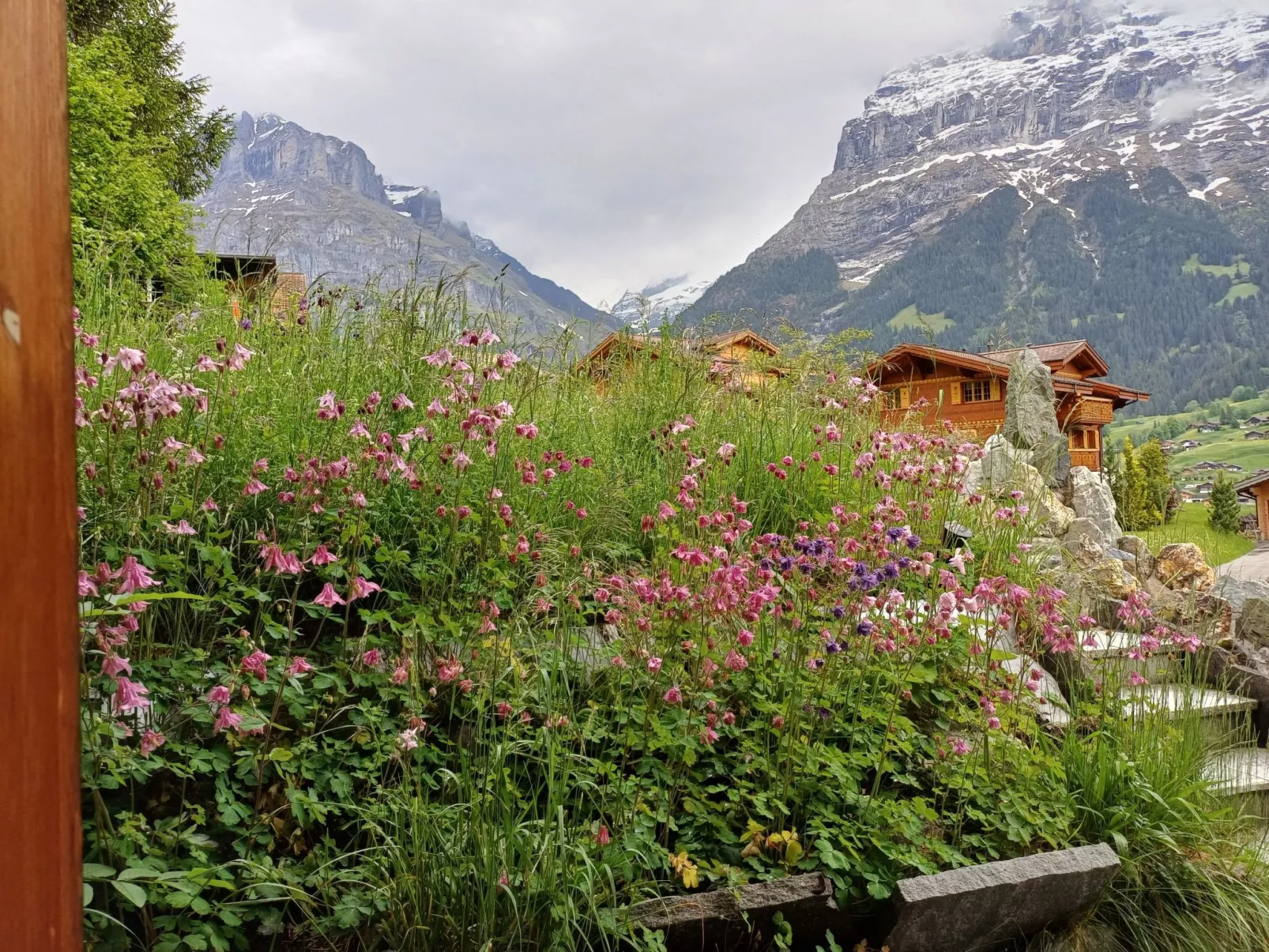 Adler 2 Bett Wohnung-Buiten