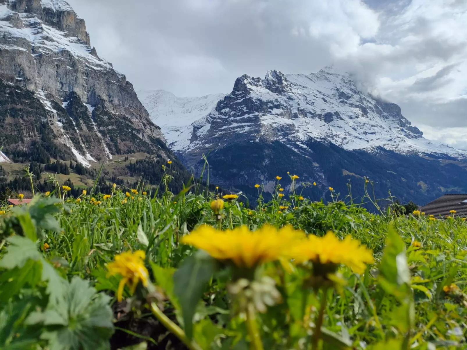 Boimenzüün 2 Bett Wohnung-Image-tags.info