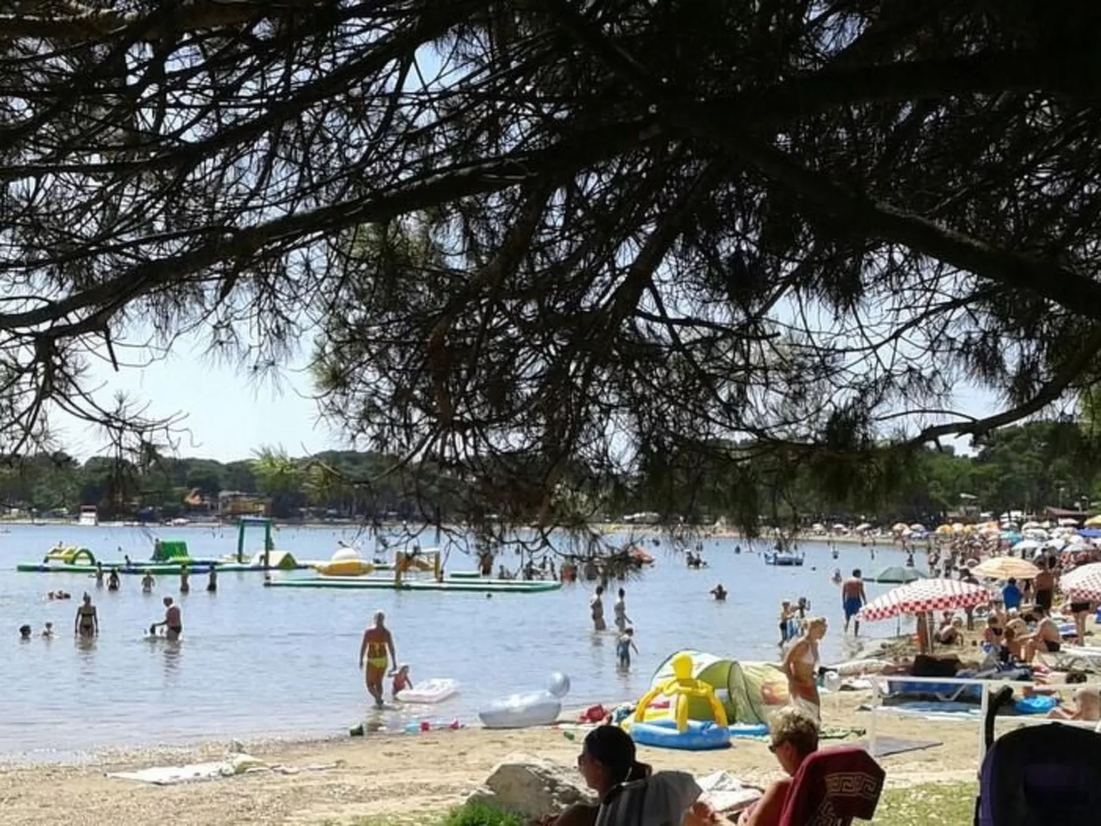 Modernes und komfortables Wohnen in der Wohnung-Buiten