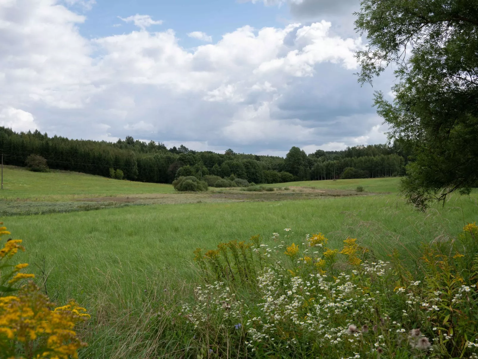 Vogelecke - abseits des Trubels und der Hektik-Buiten