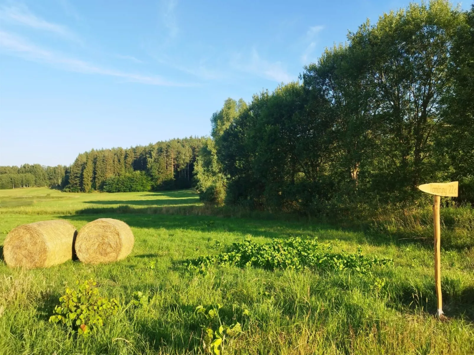 Vogelecke - abseits des Trubels und der Hektik-Buiten