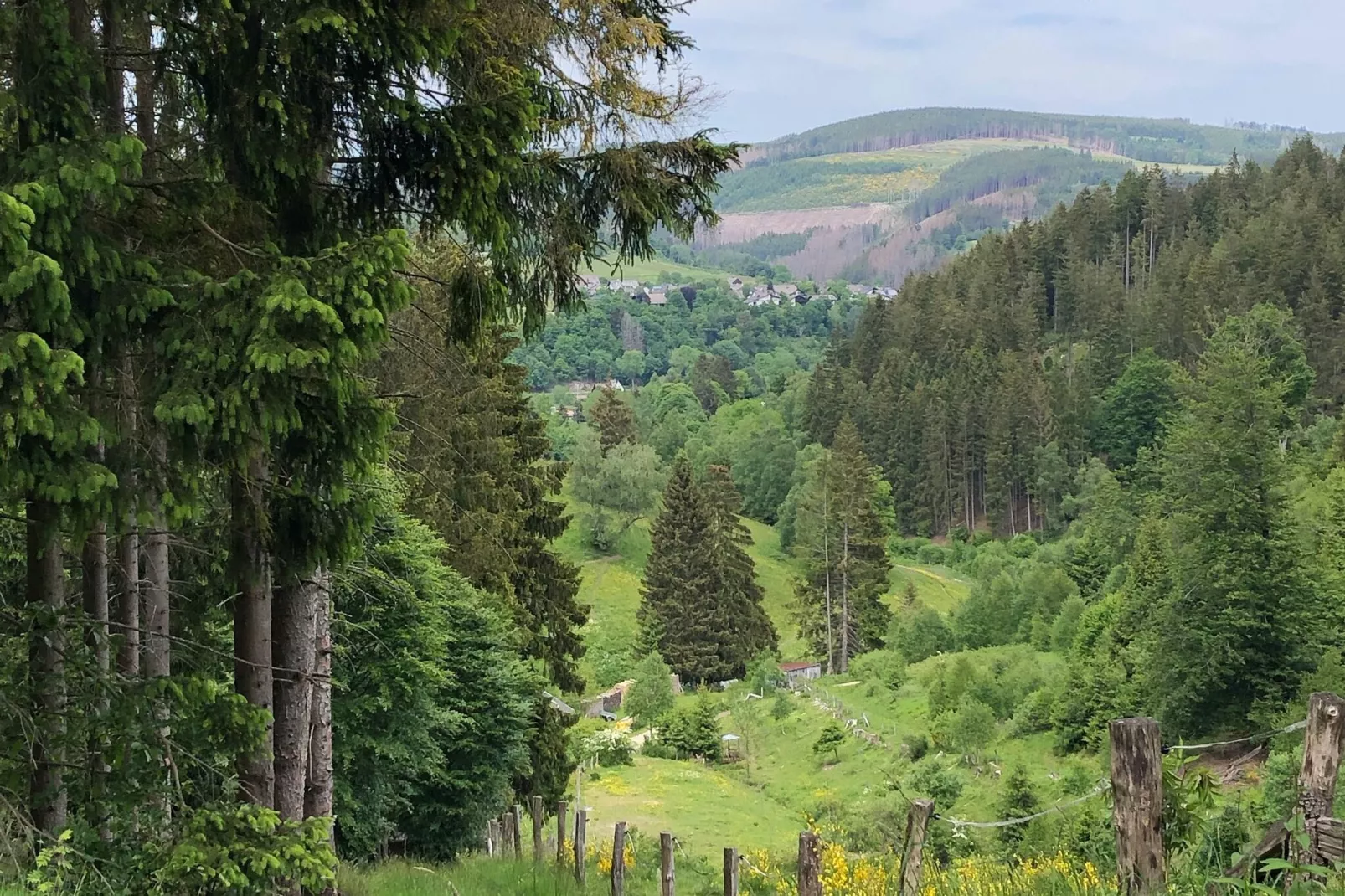 Lodge Winterberg-Gebieden zomer 1km