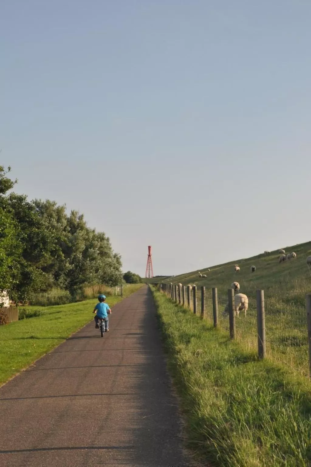 Eul in Butjadingen-Großwürden-Buiten