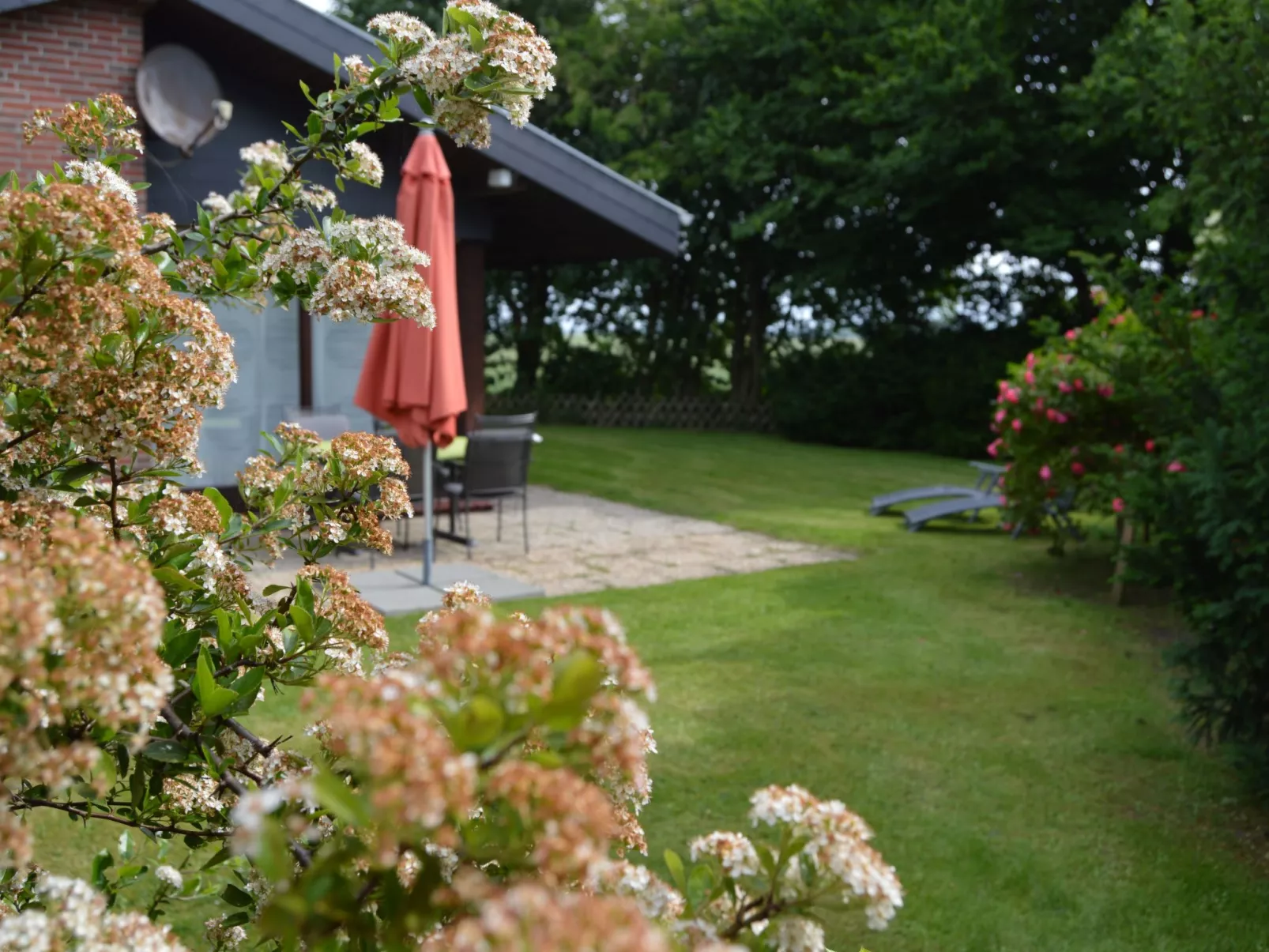 Deichhuus - ruhig am Feldrand in Sackgassenlage-Buiten