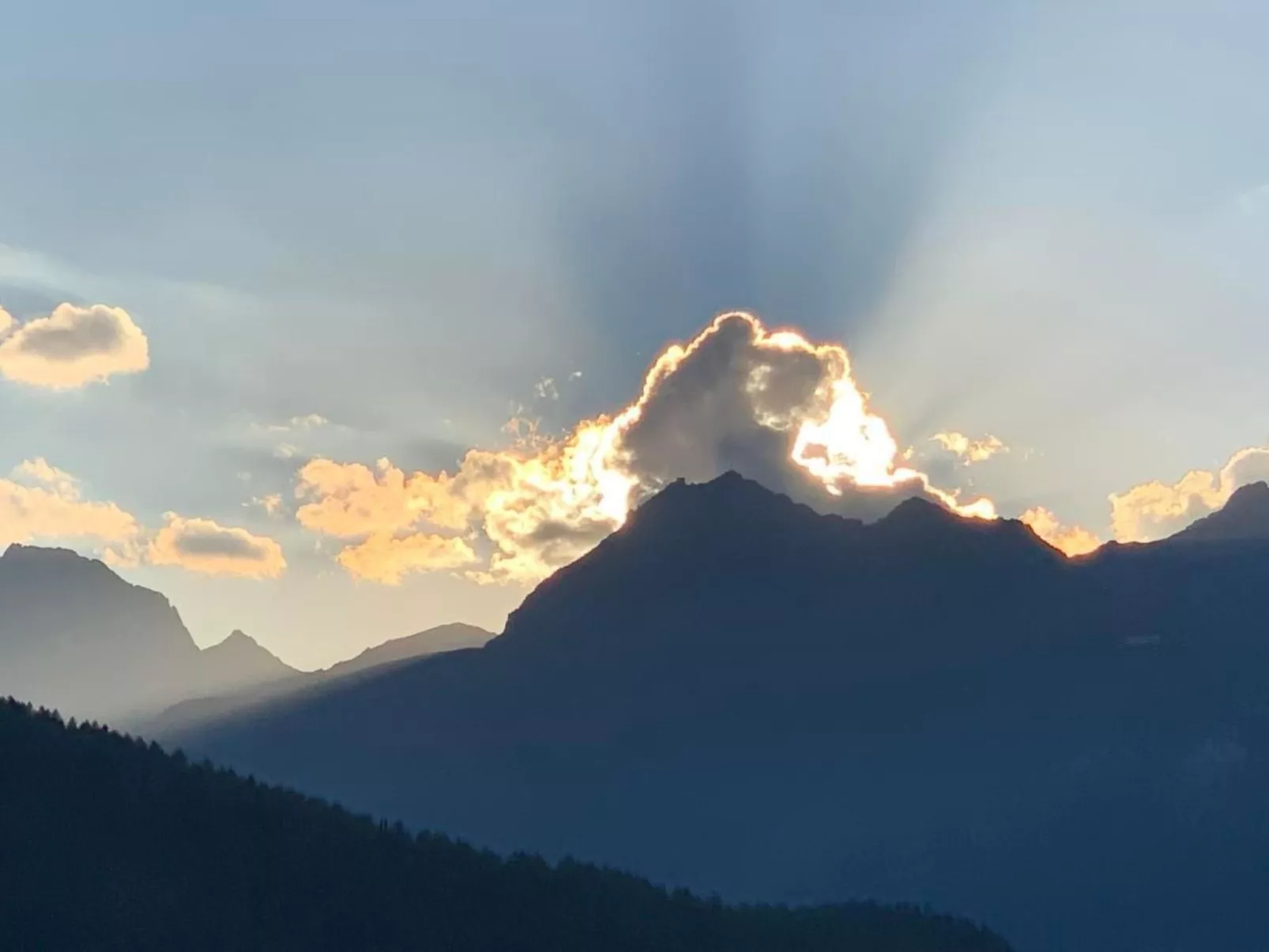 MFH Terr‘in tschêl-Image-tags.info