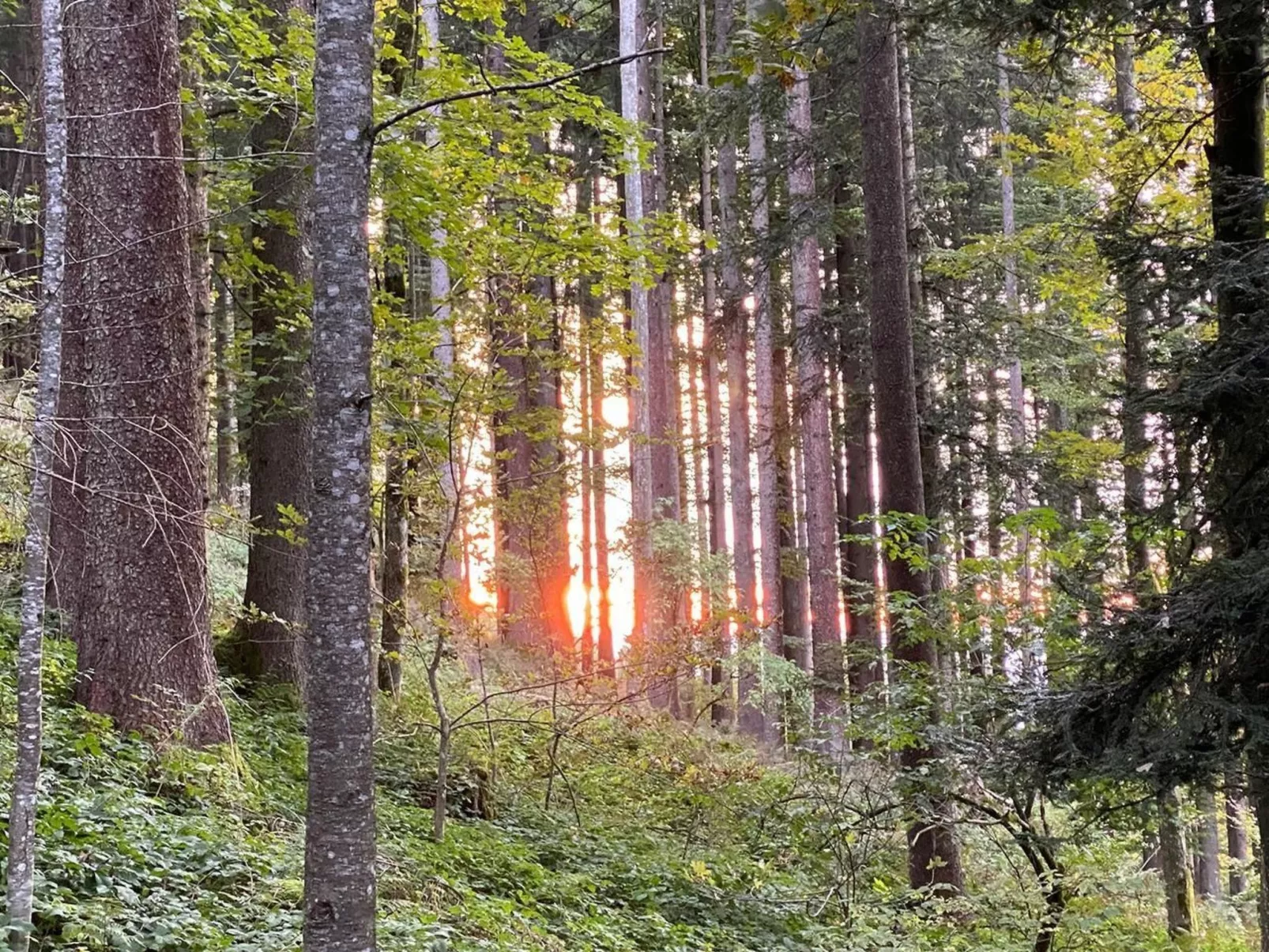 Alpakahof Ferien-Buiten