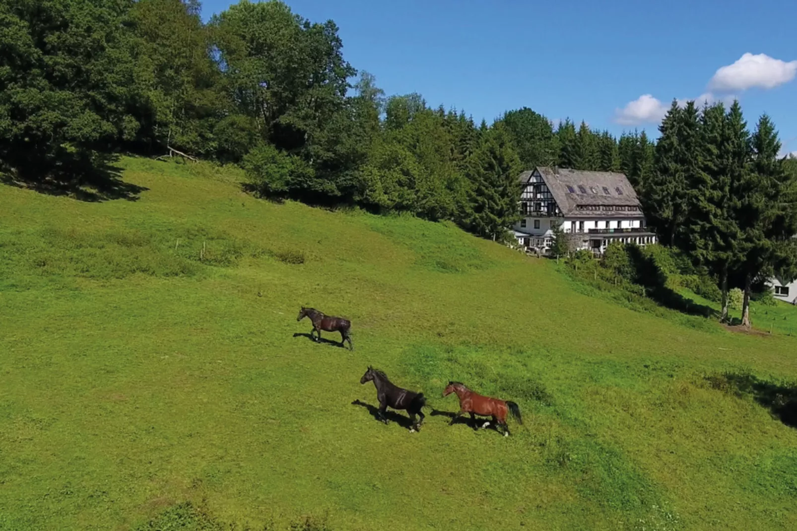 Landhaus  Lodge Winterberg-Gebieden zomer 5km