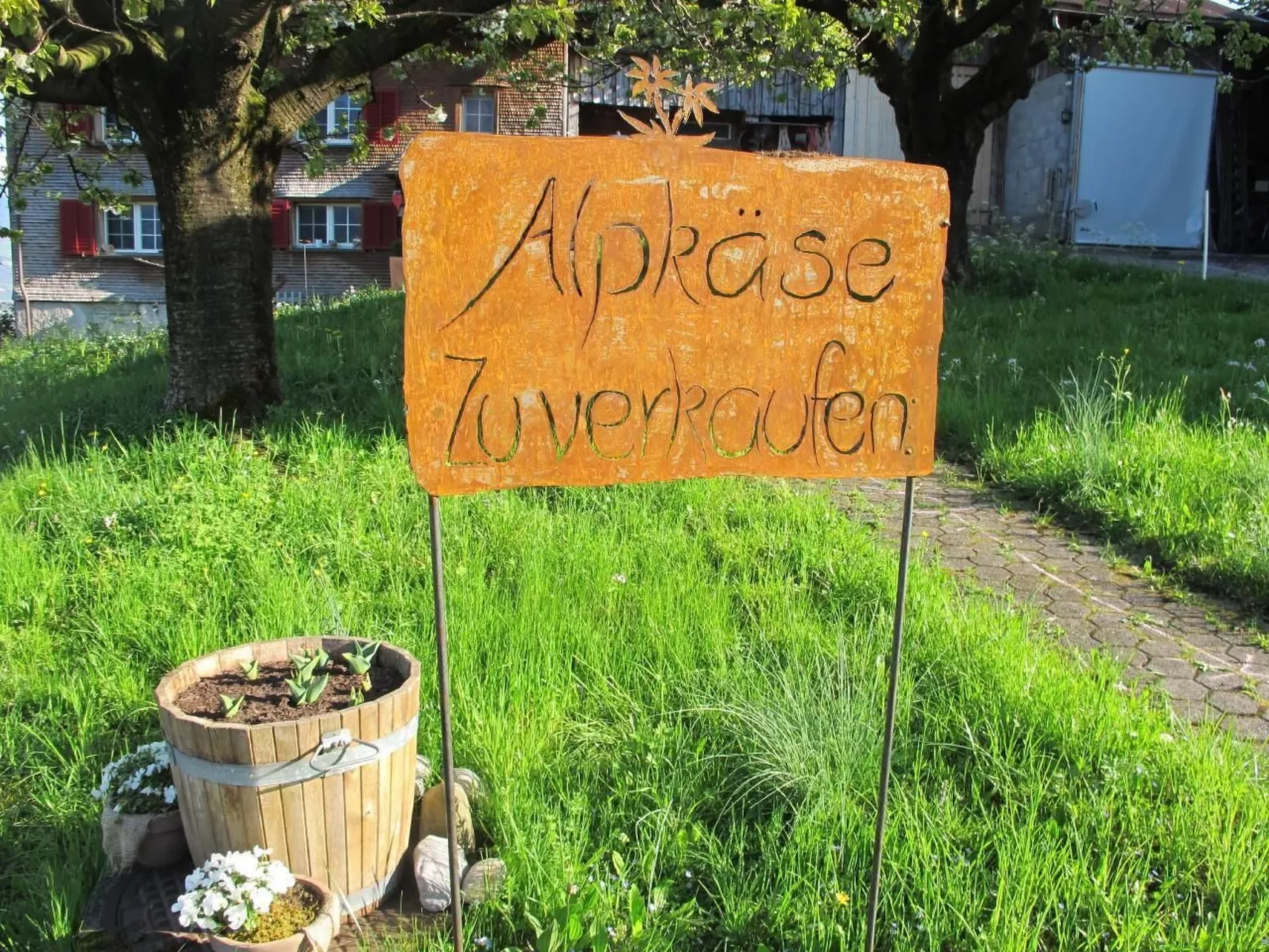 Perfekt-Image-tags.info