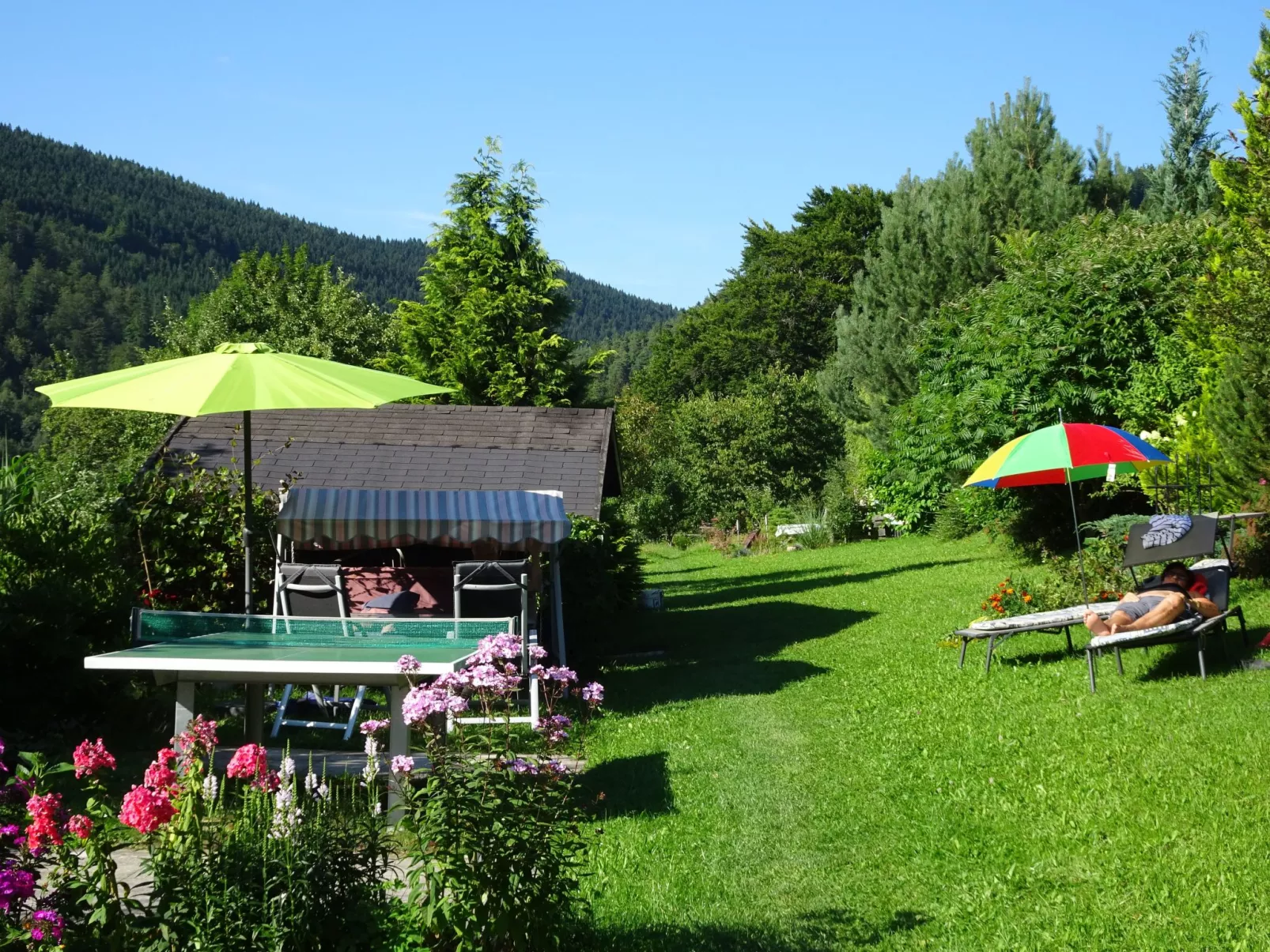 FeWo Panorama *****-Buiten