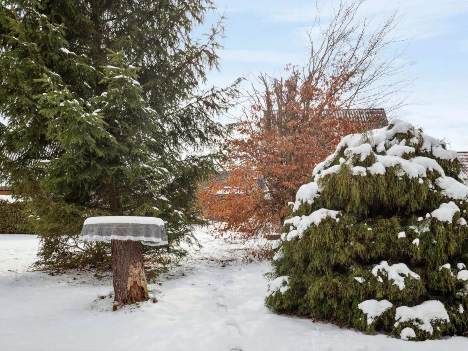 Seyer-Image-tags.info