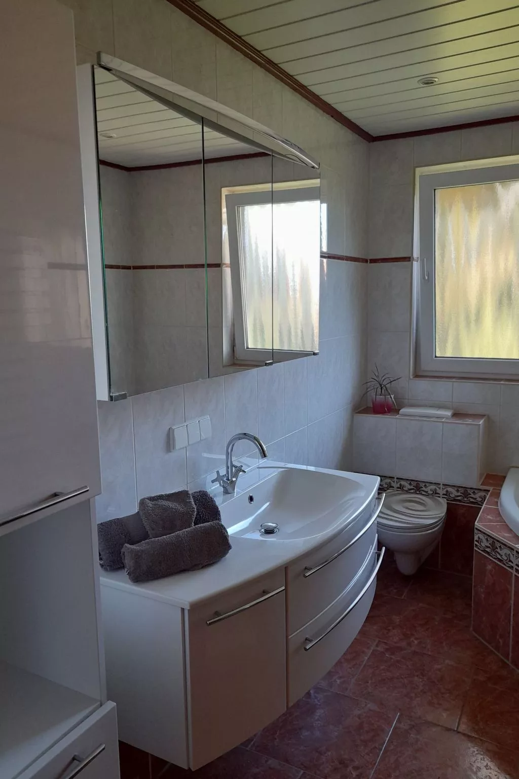 Schäfer-Image-tags.info