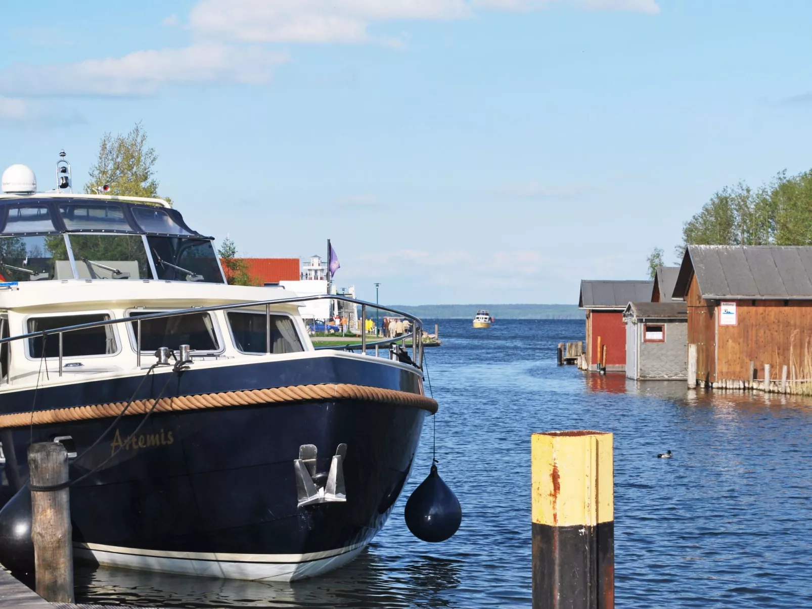 Mit Hund-Image-tags.info