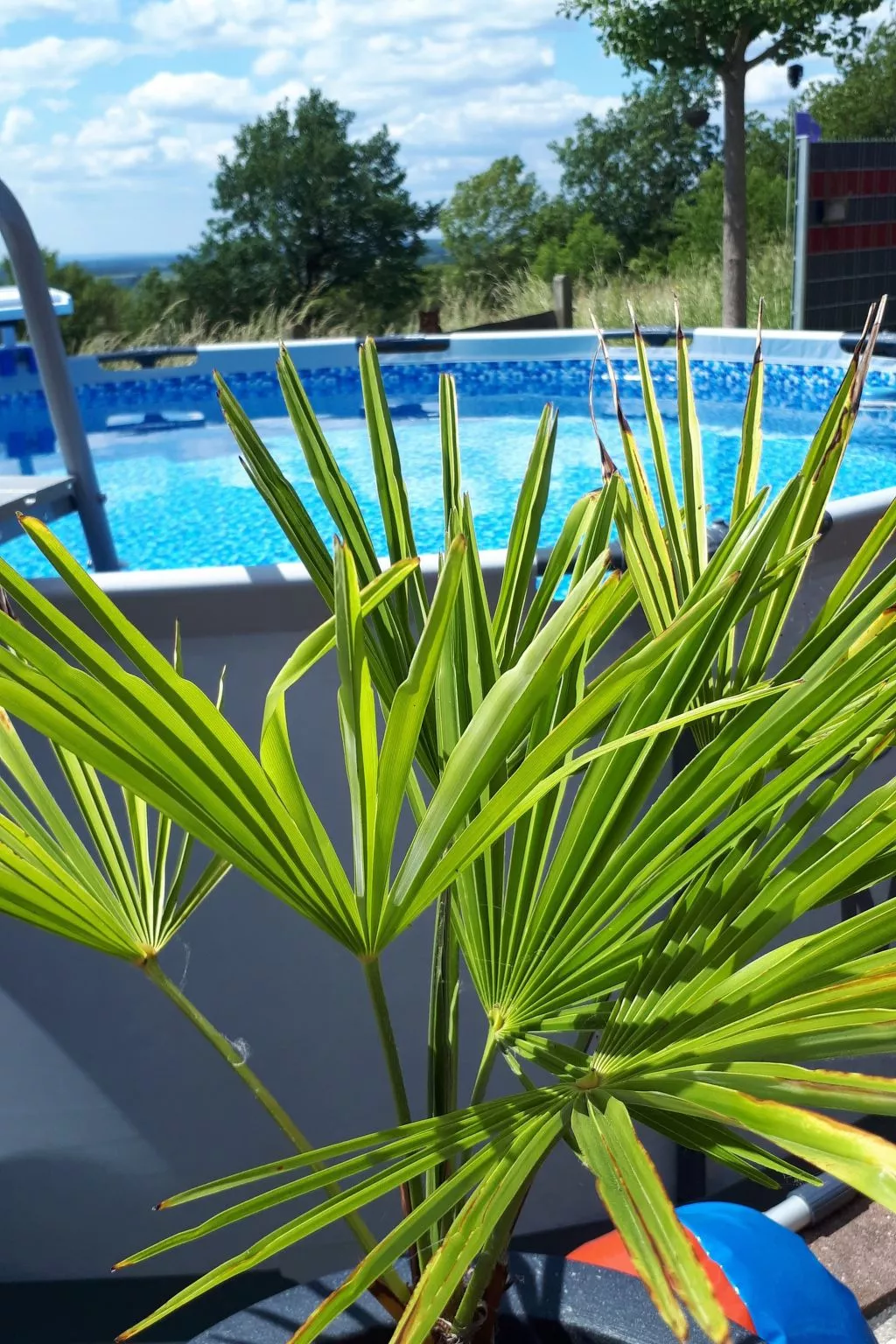 Fewo. Liebelt-Buiten