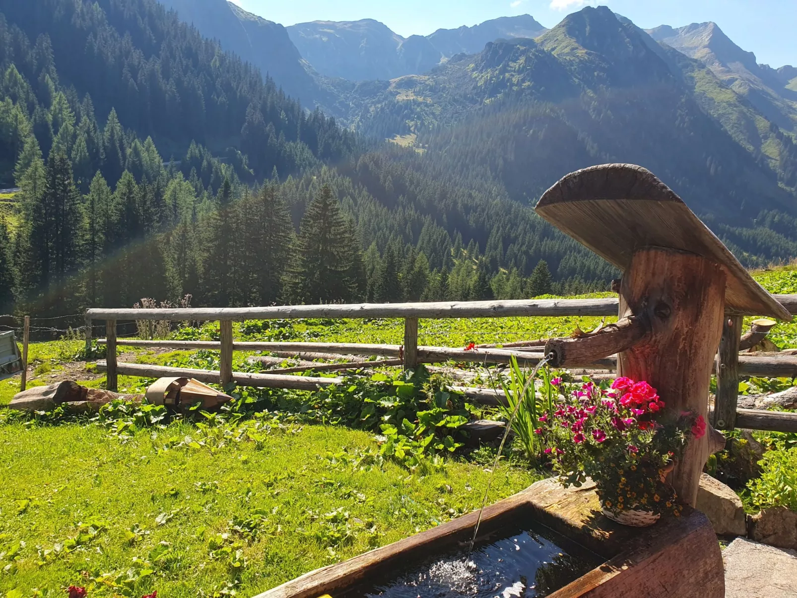 Frojach-Image-tags.info