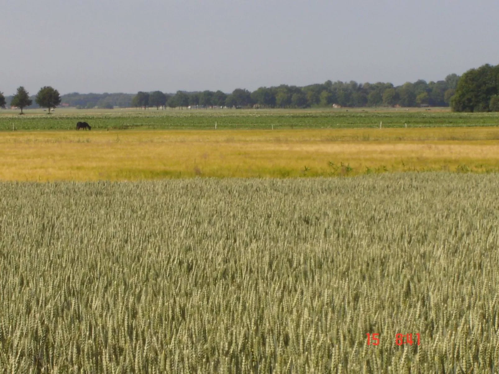 Urlaub wie früher auf einem Bauernhof mit dem Komfort von heute.-Buiten