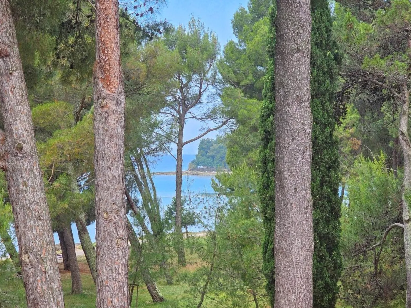 Wohnung "Senka" direkt am Strand-Image-tags.info