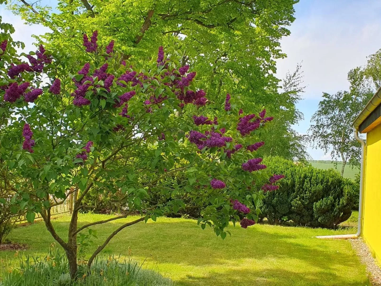 Landhaus Müritzliebe-Buiten