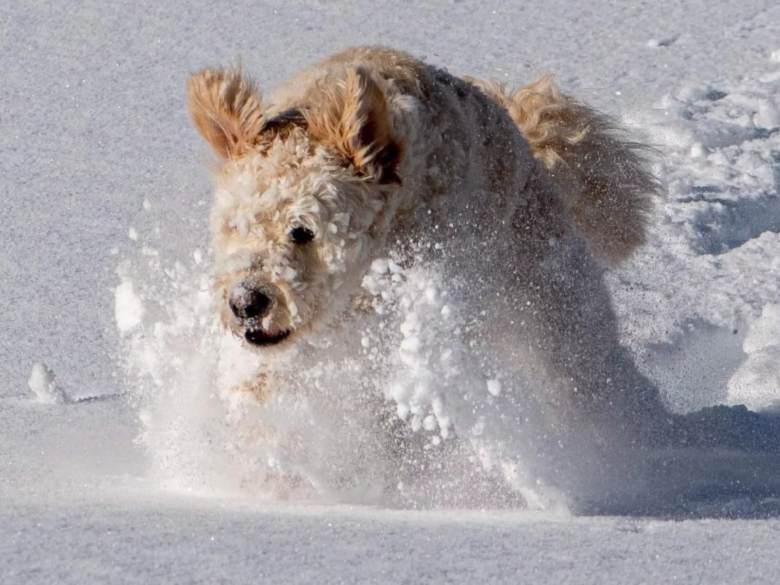 Cozy Accomodation Retreat for Families-Image-tags.info