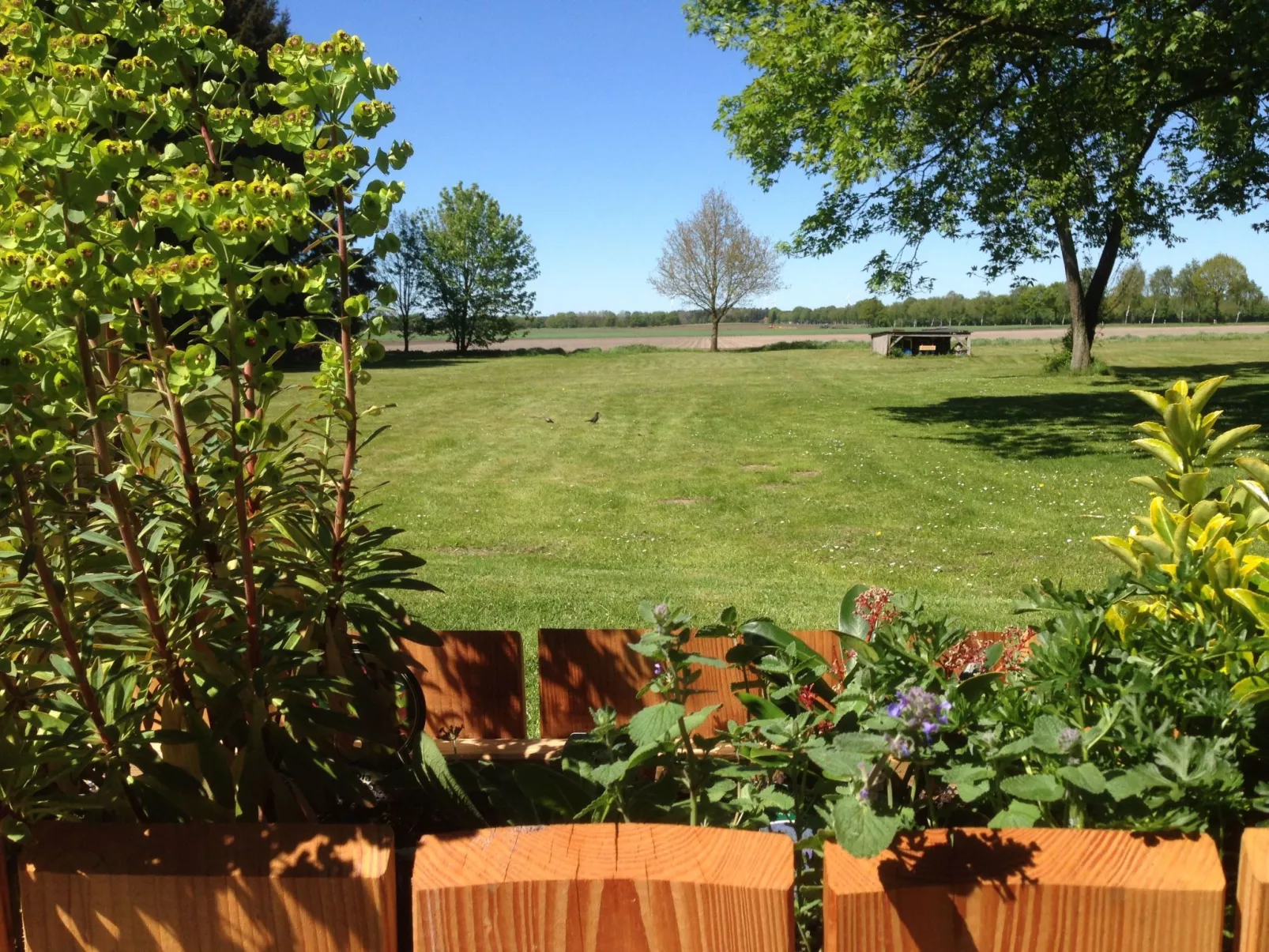 In Wolterdingen mit Eigener Terrasse-Buiten