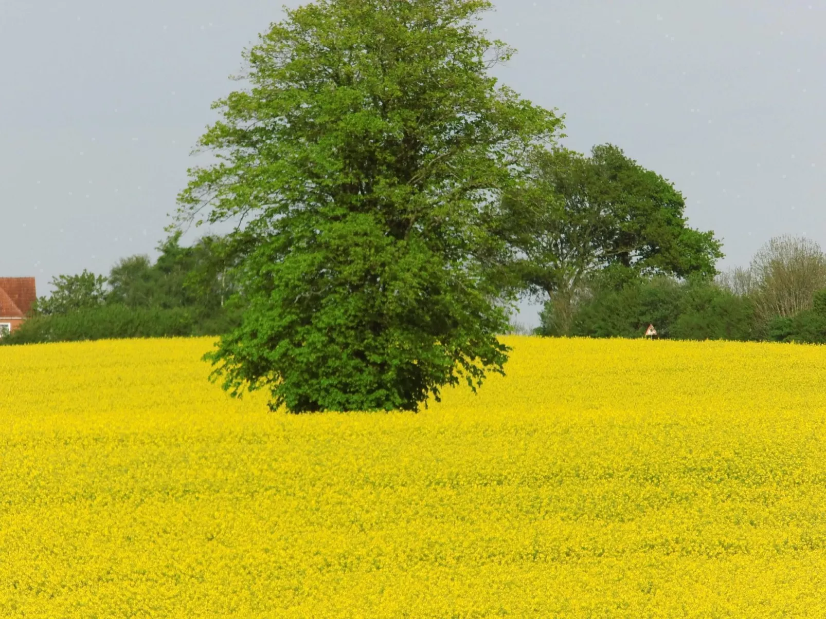 Fewo "Berliner"-Buiten