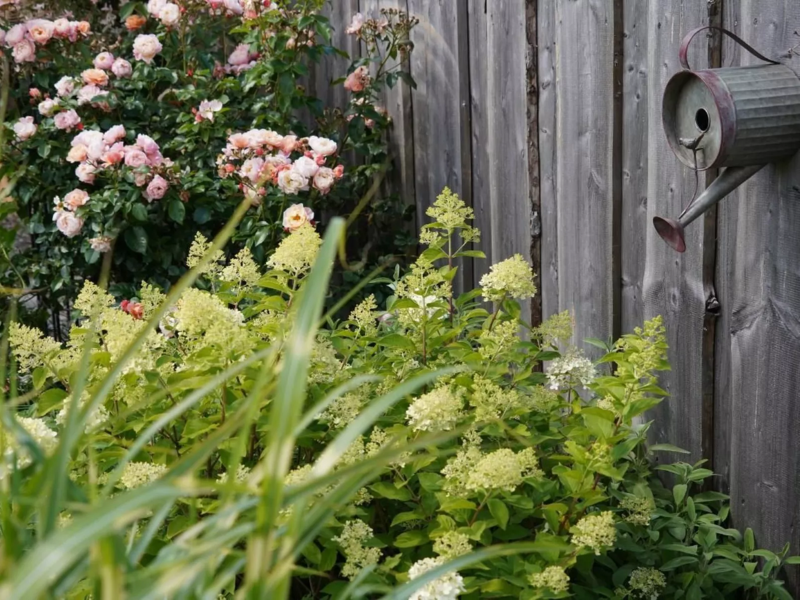 Ruhige Wohnung in Risum mit Garten und Terrasse-Image-tags.info