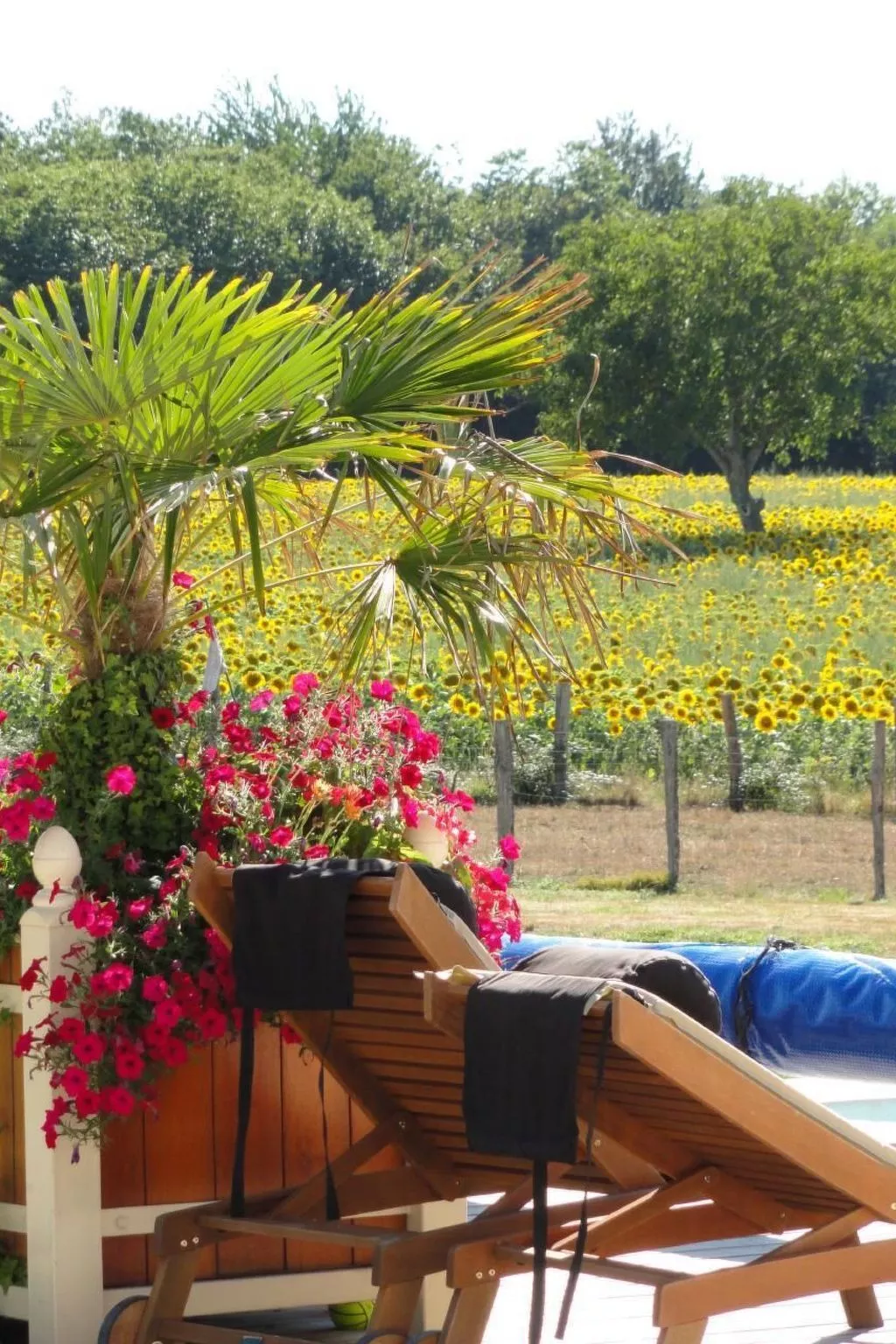 Ferienvilla mit Blick auf das Wasser-Image-tags.info