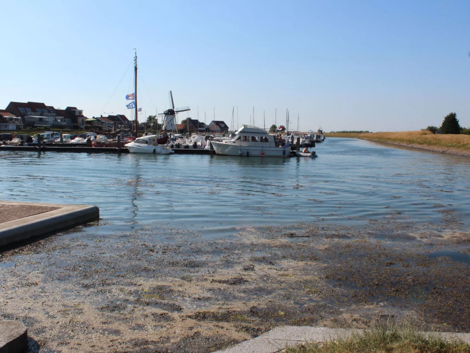 "Buurtweg221" mit Schwimmbad-Buiten