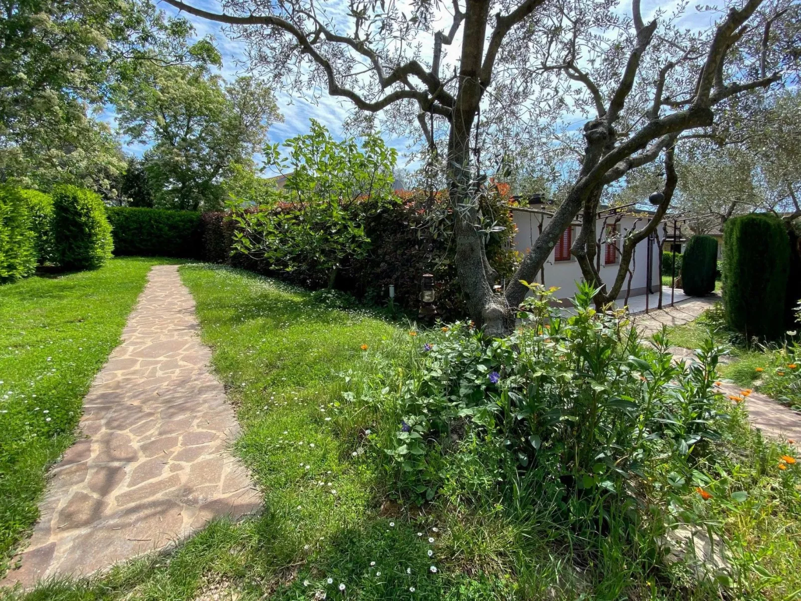 "Timea 2" mit Terrasse-Buiten