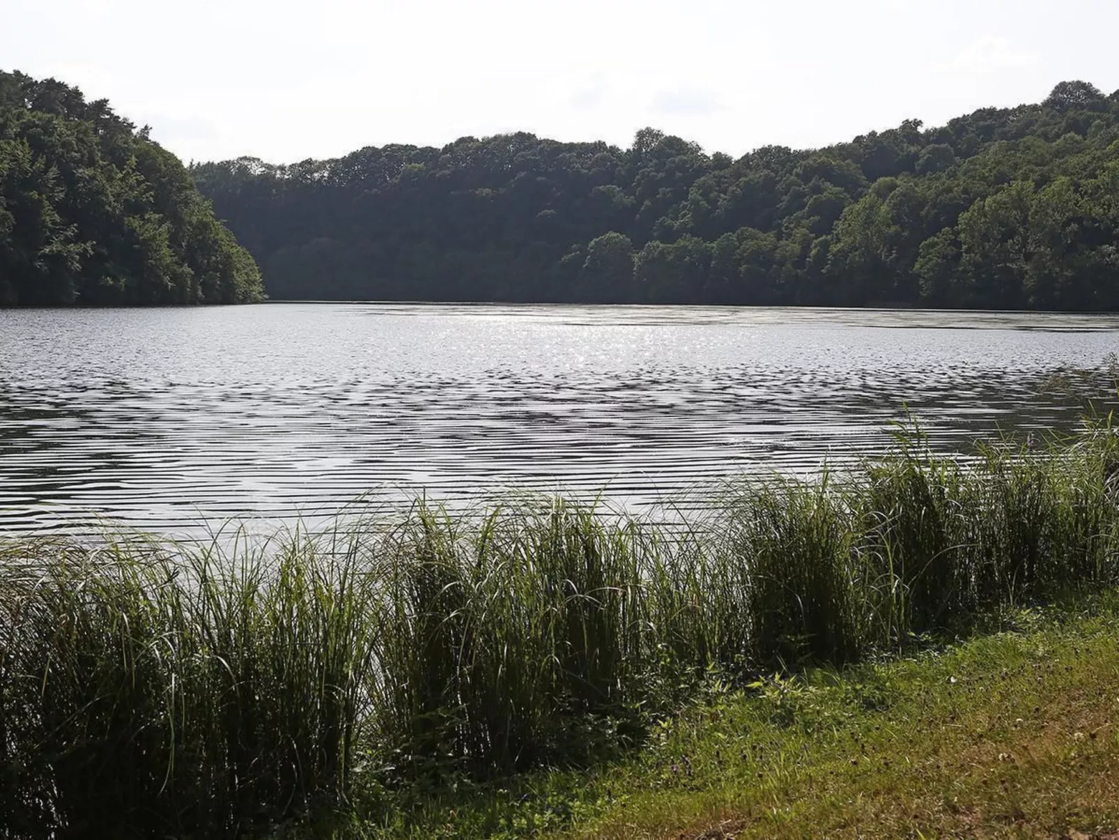 Mit Garten im Naturpark Südeifel-Buiten