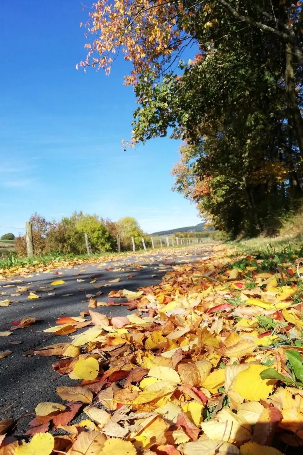 Haus Schnurbus - Buiten