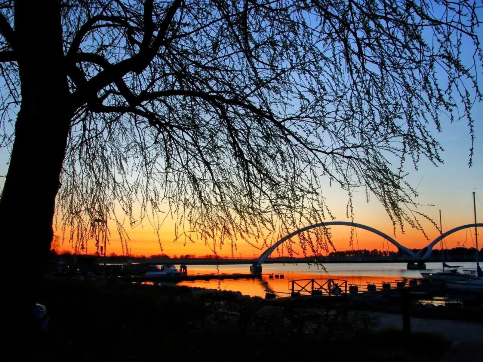 Sommarsol-Image-tags.info