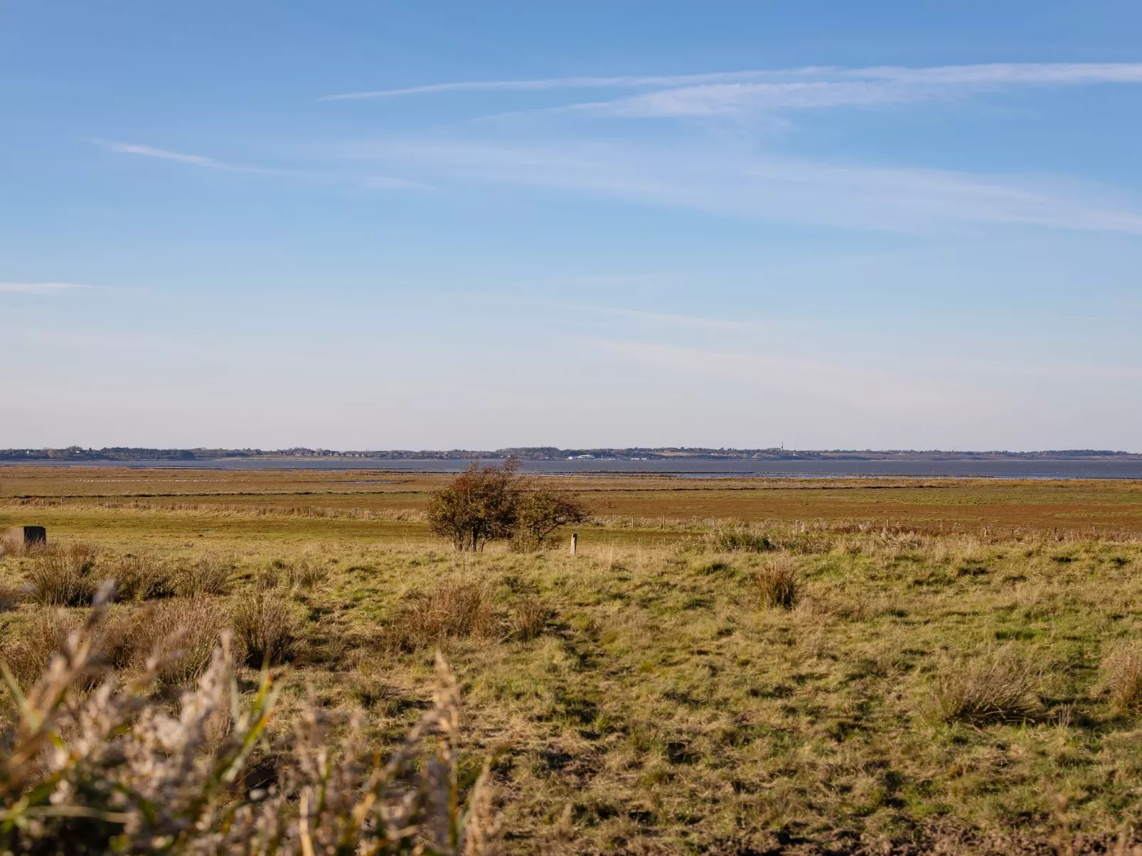 Liiger Wal in Morsum-Buiten