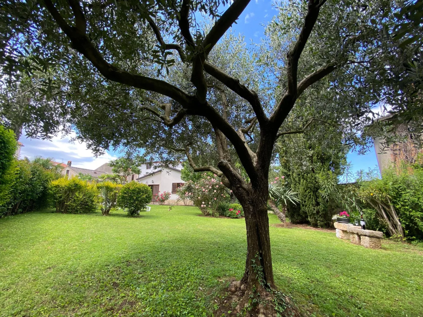 Freistehender Bungalow Perla mit Garten und Grill-Buiten