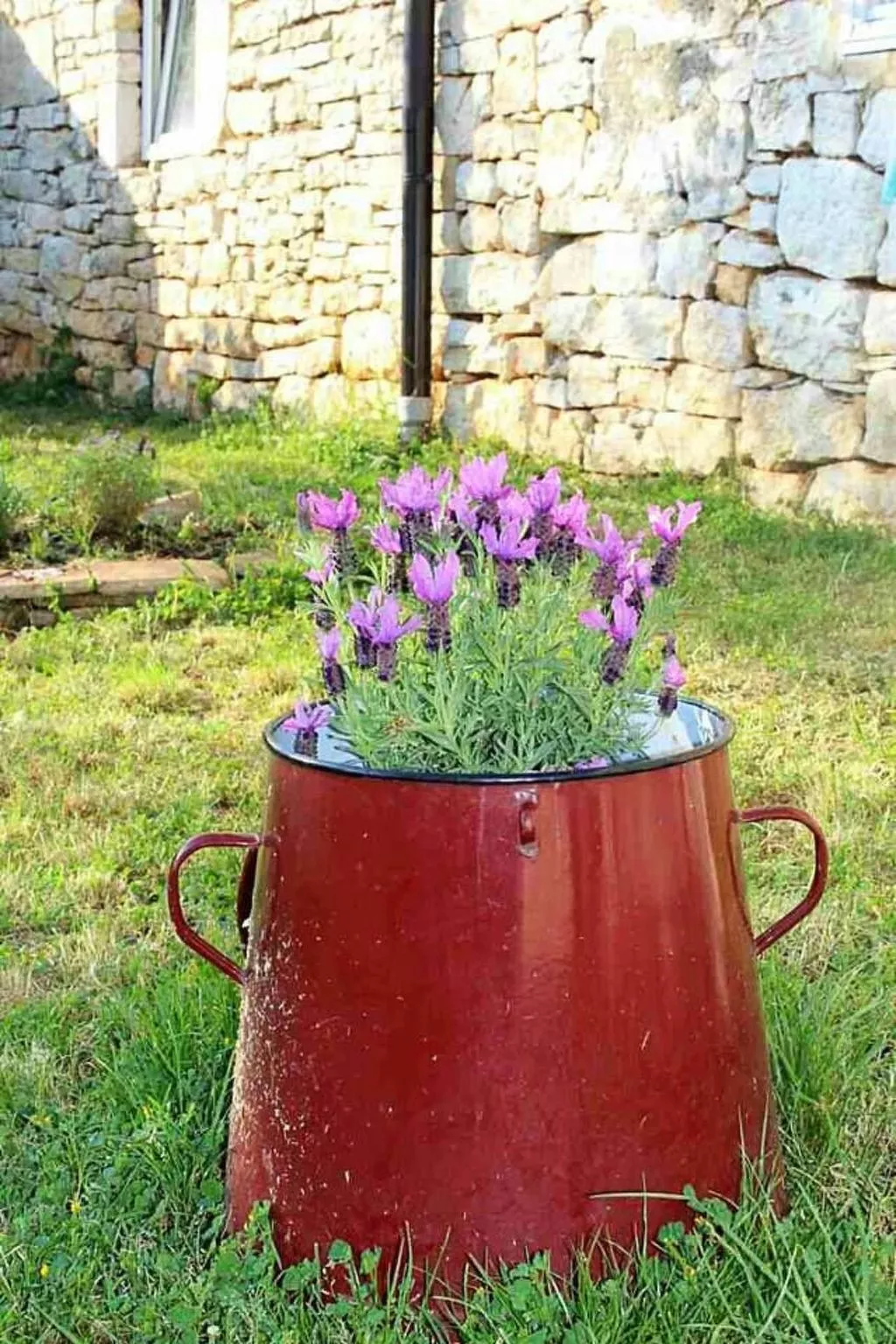 Typisch istrisches Ferienhaus mit Garten-Buiten