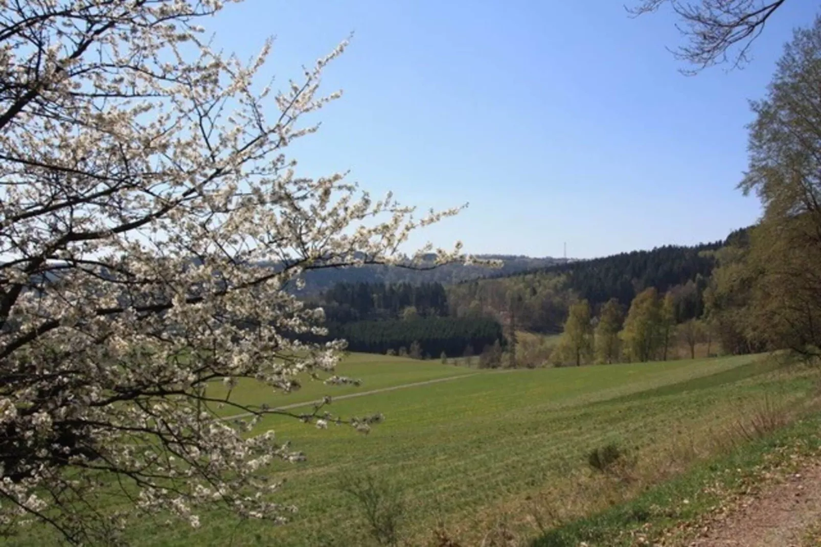 Apartment auf der Platte 1-Gebieden zomer 1km