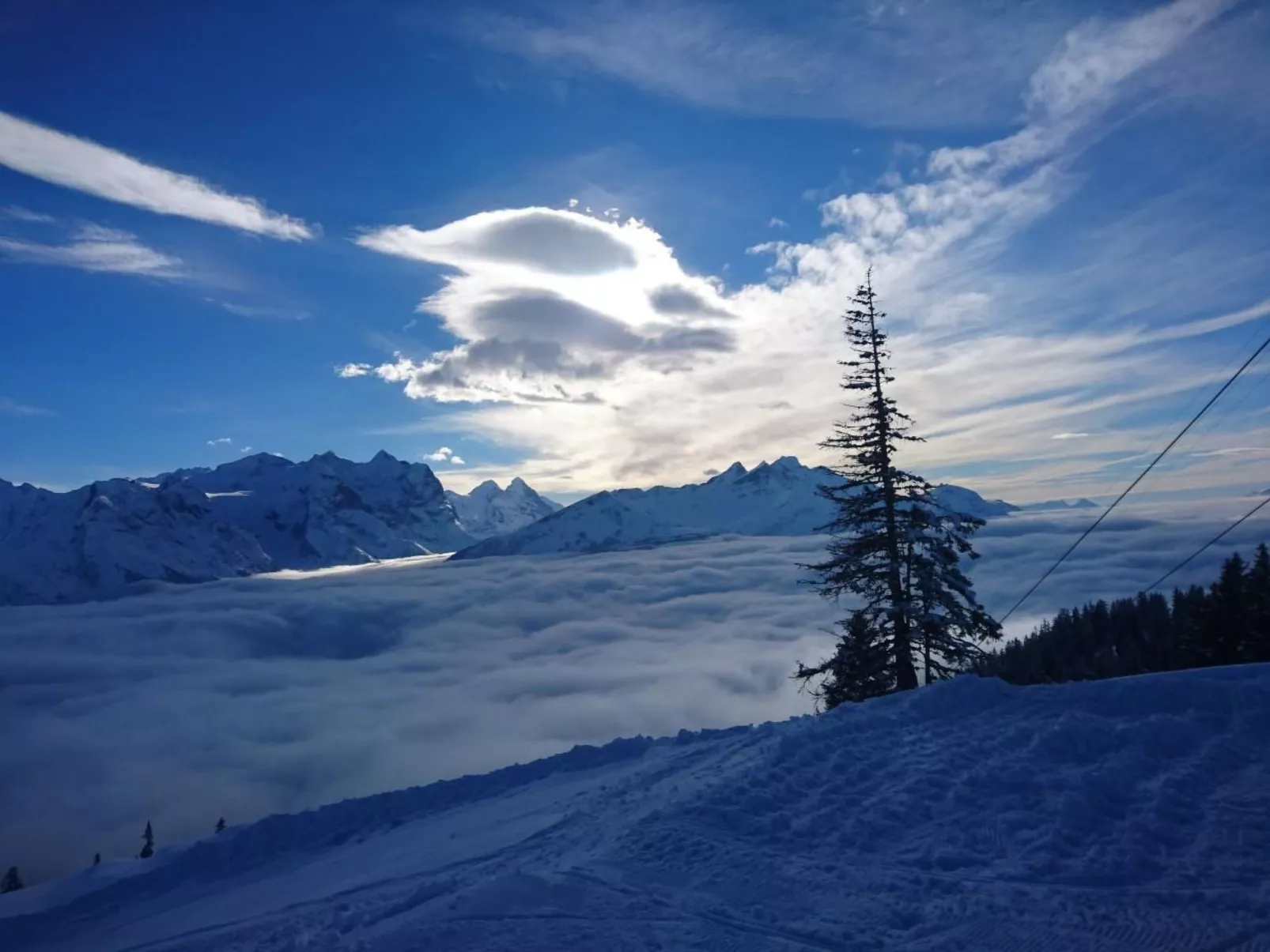 Obererli-Image-tags.info