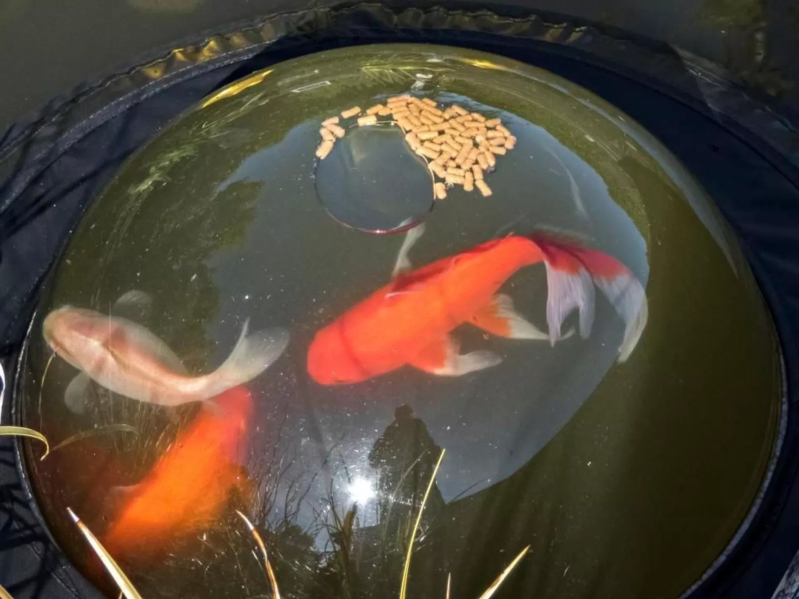 Relax Chalet-Image-tags.info