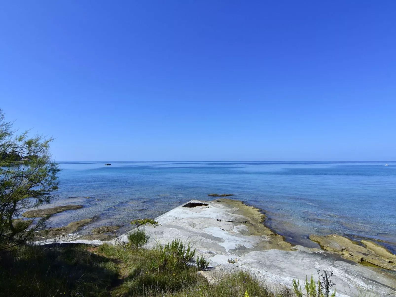 SILVA 2+1 2. KAT-Image-tags.info