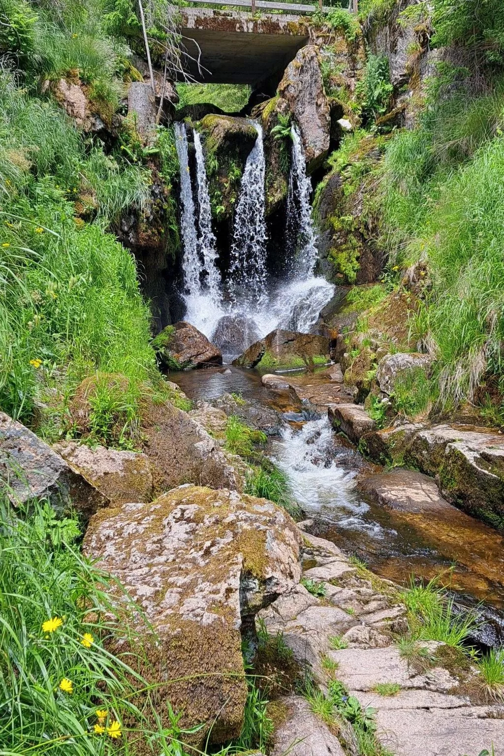 Lufs Loft für 6 Pers-Image-tags.info