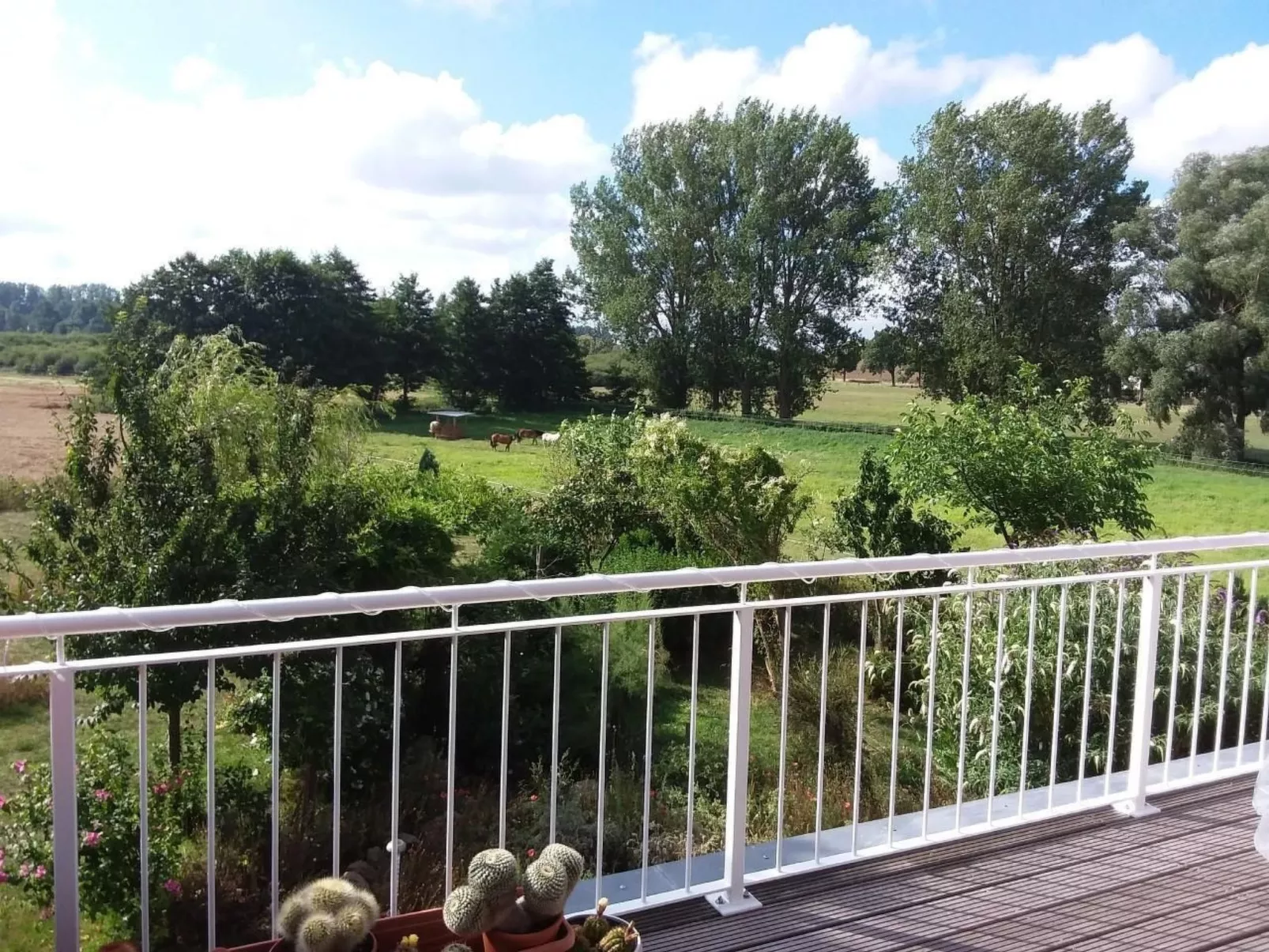 Schmetterling-Buiten