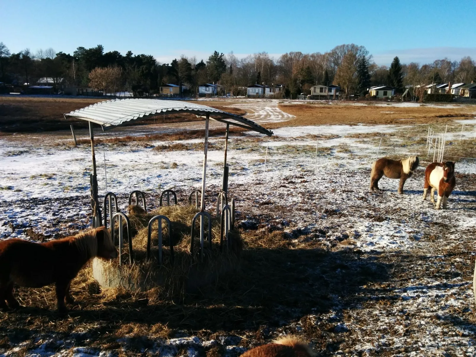Am Schwielochsee-Buiten