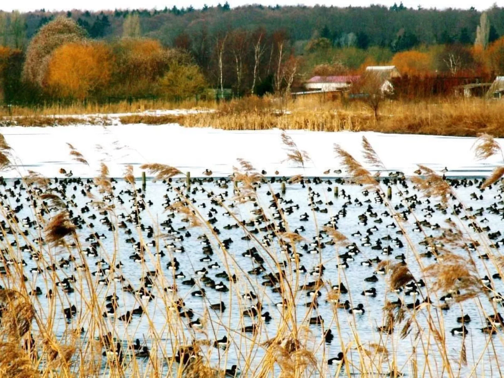 Mit Sauna und Schwimmbadnutzung-Buiten